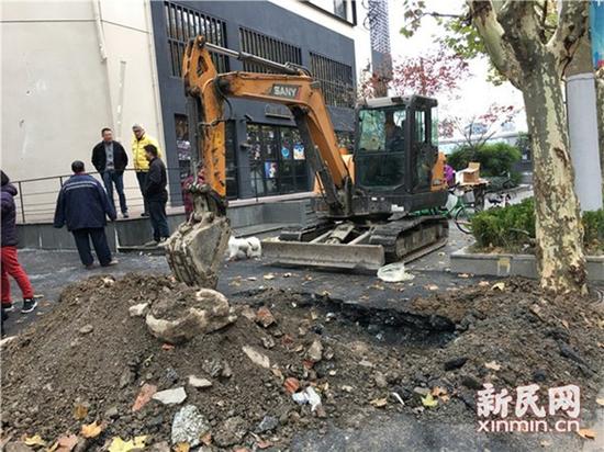 图片说明:挖掘机现场作业 图片均为新民晚报新民网陈浩摄