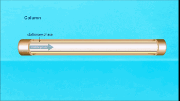 微信图片_20200629174403.gif